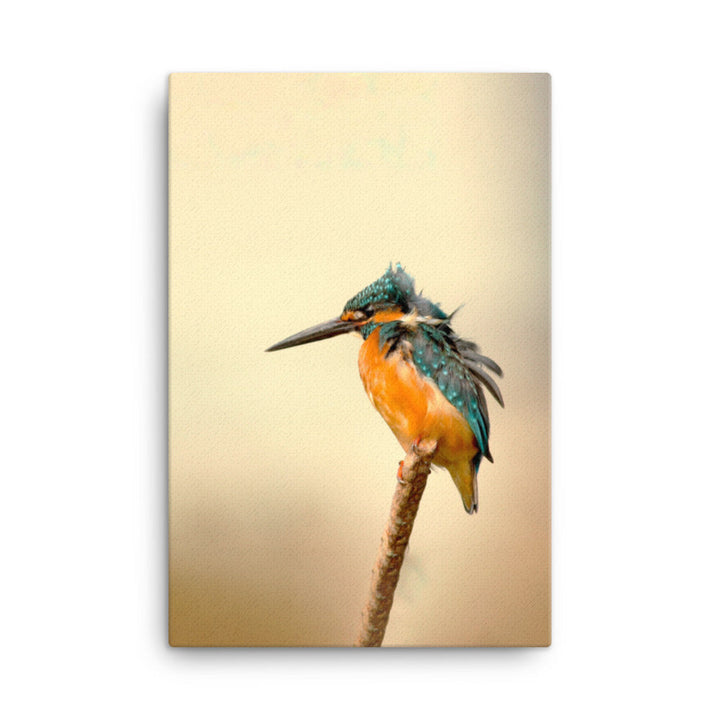Eisvogel - Leinwand 61x91 cm artlia