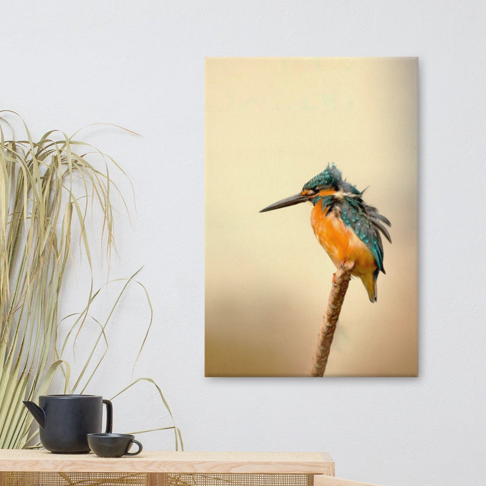 Eisvogel - Leinwand artlia