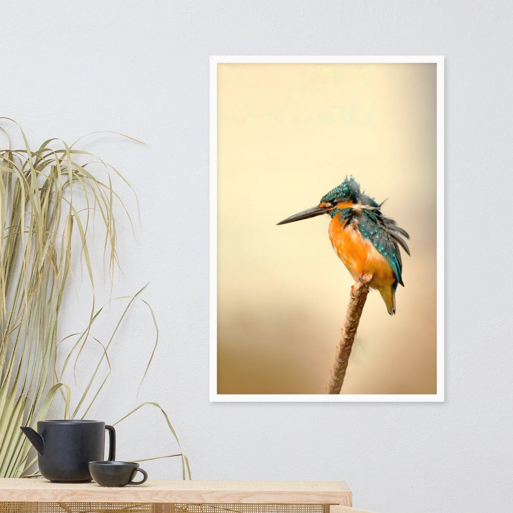 Eisvogel - Poster artlia