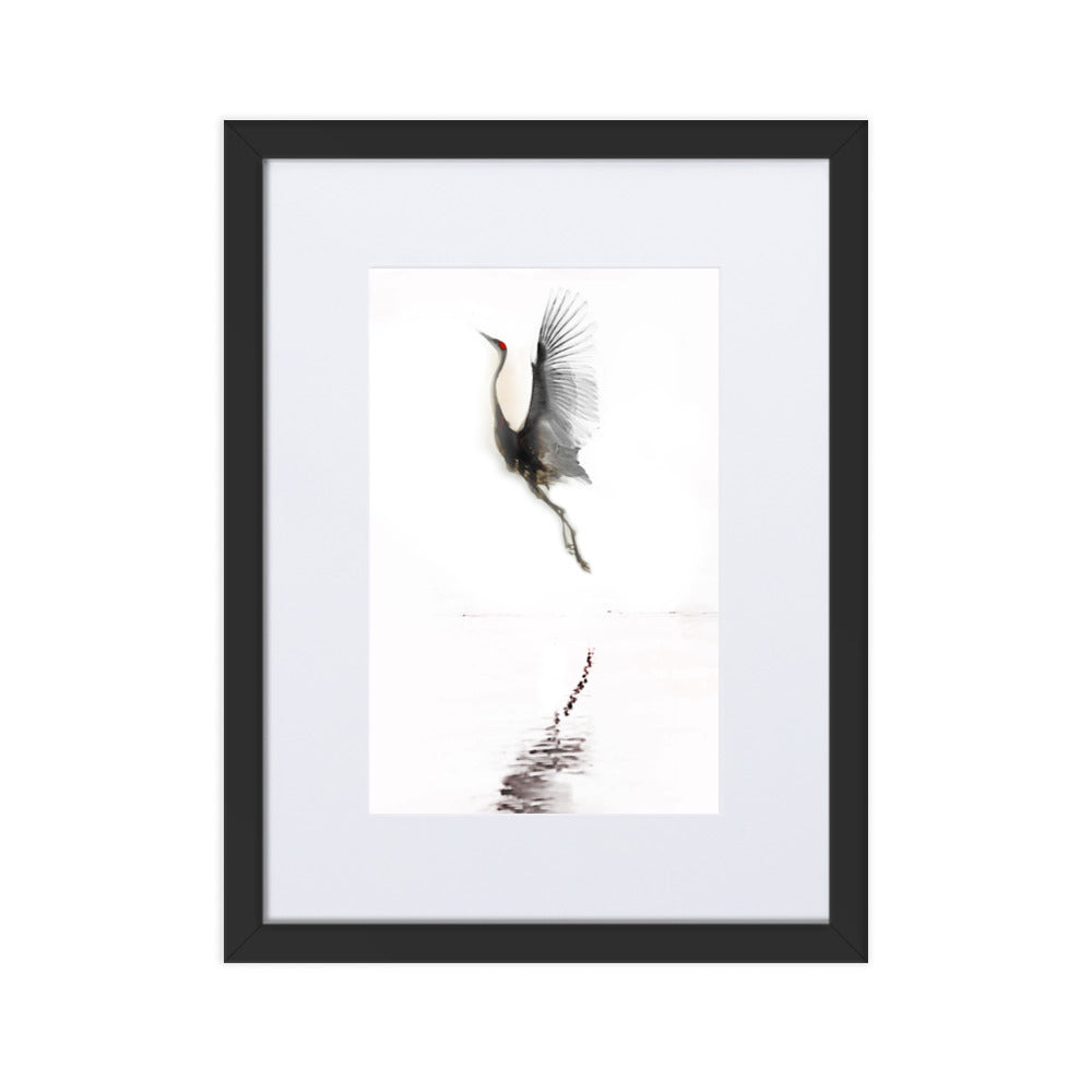 fliegender Kranich - Poster im Rahmen mit Passepartout Schwarz / 30×40 cm artlia