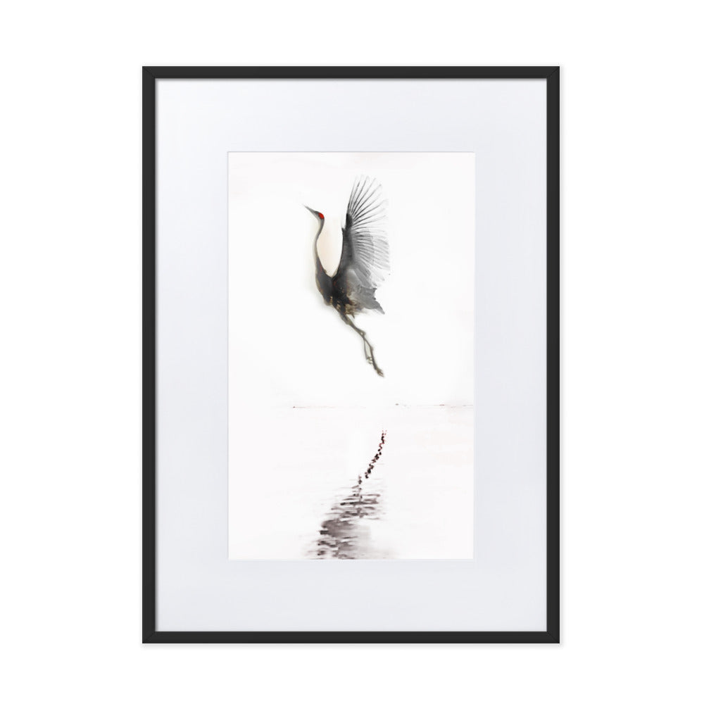 fliegender Kranich - Poster im Rahmen mit Passepartout Schwarz / 50×70 cm artlia