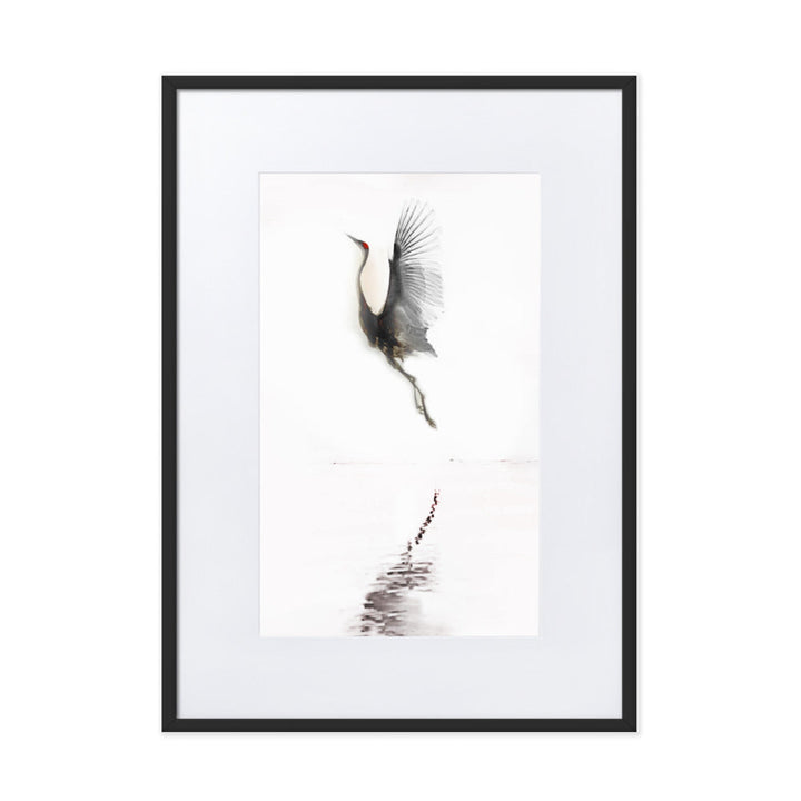 fliegender Kranich - Poster im Rahmen mit Passepartout Schwarz / 50×70 cm artlia