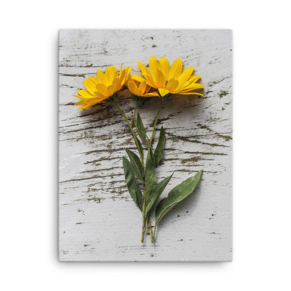 gelbe Blumen Yellow Flowers 6 - Leinwand 30x41 cm artlia