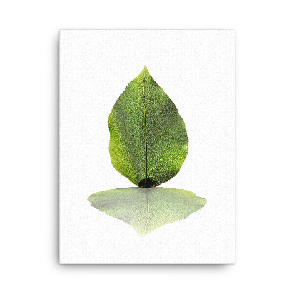 grünes Blatt - Leinwand 30x41 cm artlia