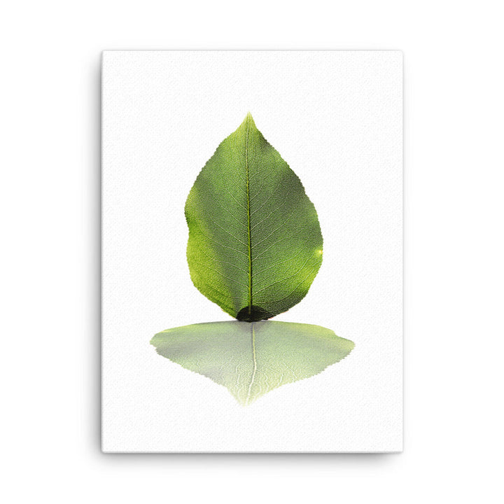 grünes Blatt - Leinwand 30x41 cm artlia