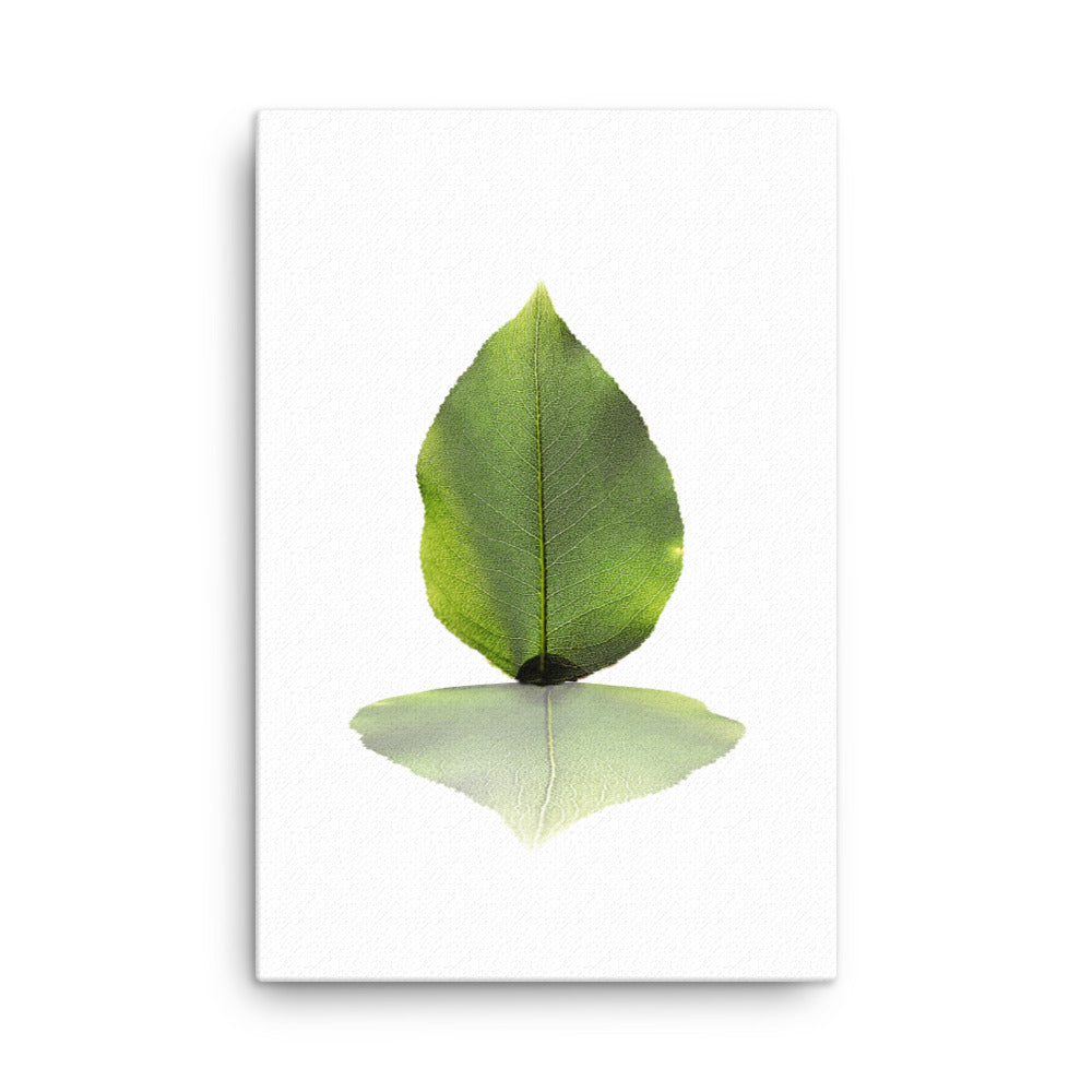 grünes Blatt - Leinwand 61x91 cm artlia