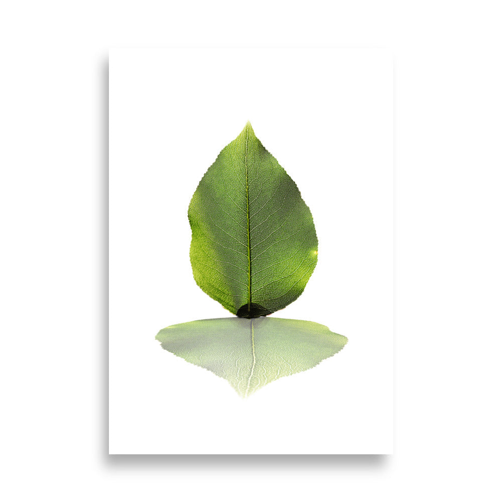 grünes Blatt - Poster 21×30 cm artlia