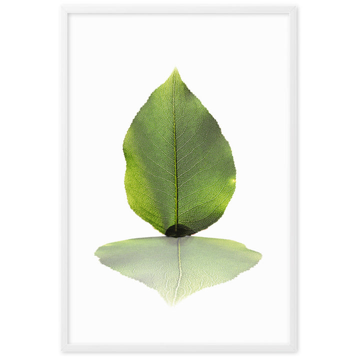 grünes Blatt - Poster artlia