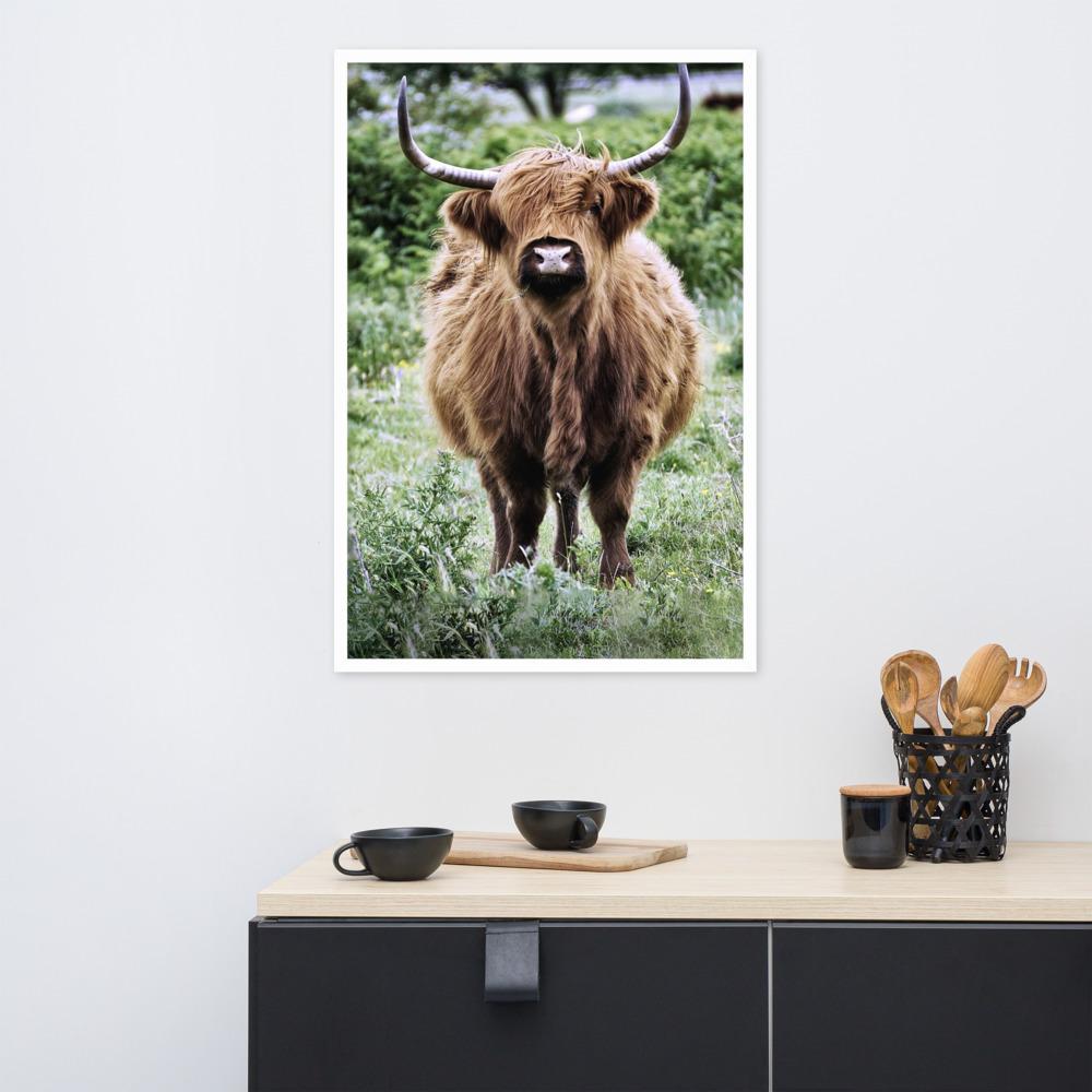 Highland cattle - Poster im Rahmen artlia