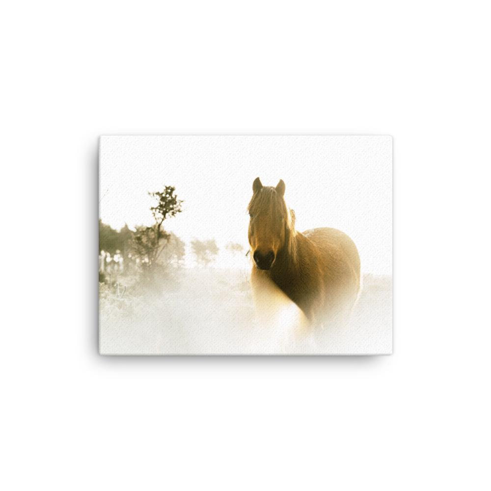 Pferd im Traum - Leinwand 21×30 cm artlia