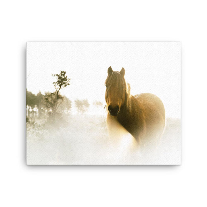 Pferd im Traum - Leinwand 30×40 cm artlia