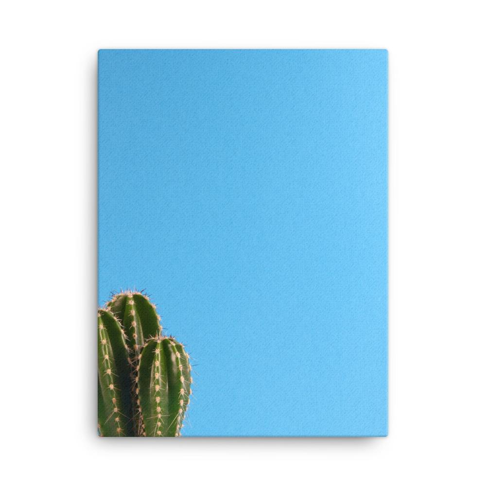 small cactus