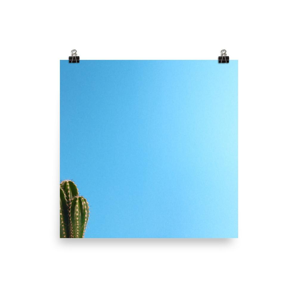 kleiner Kaktus - Poster 25x25 cm artlia