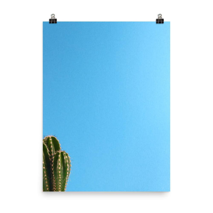 kleiner Kaktus - Poster 30x41 cm artlia