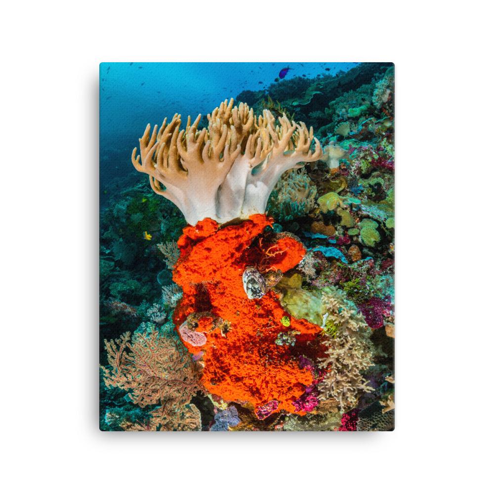 Lederkoralle - Leinwand 41x51 cm artlia