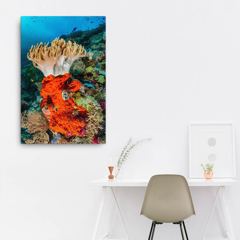 Lederkoralle - Leinwand 61x91 cm artlia