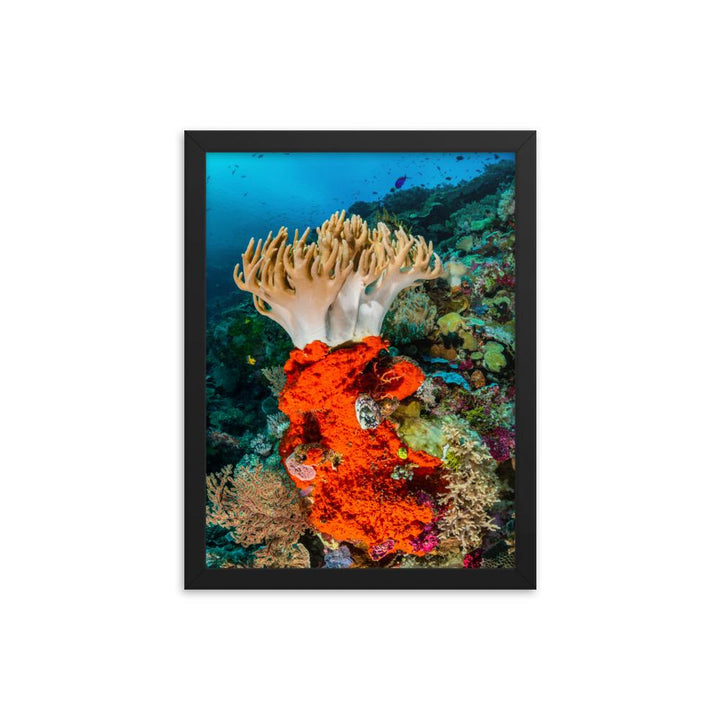 Lederkoralle - Poster im Rahmen schwarz / 30x41 cm artlia