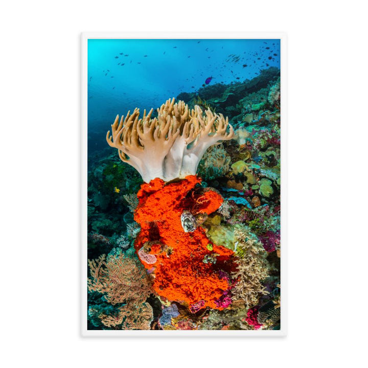 Lederkoralle - Poster artlia