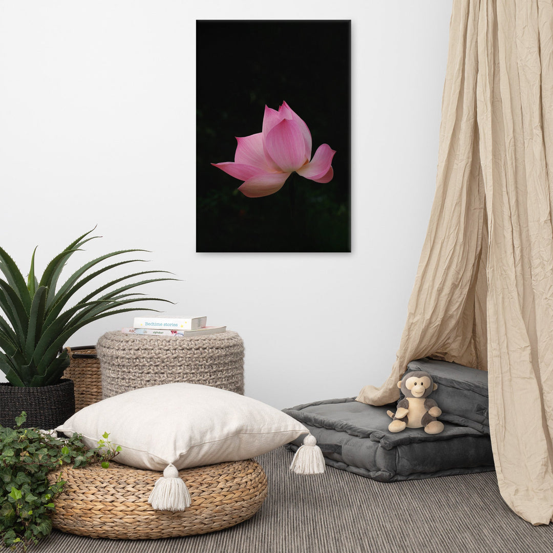 Leinwand - Lotus Seerose artlia