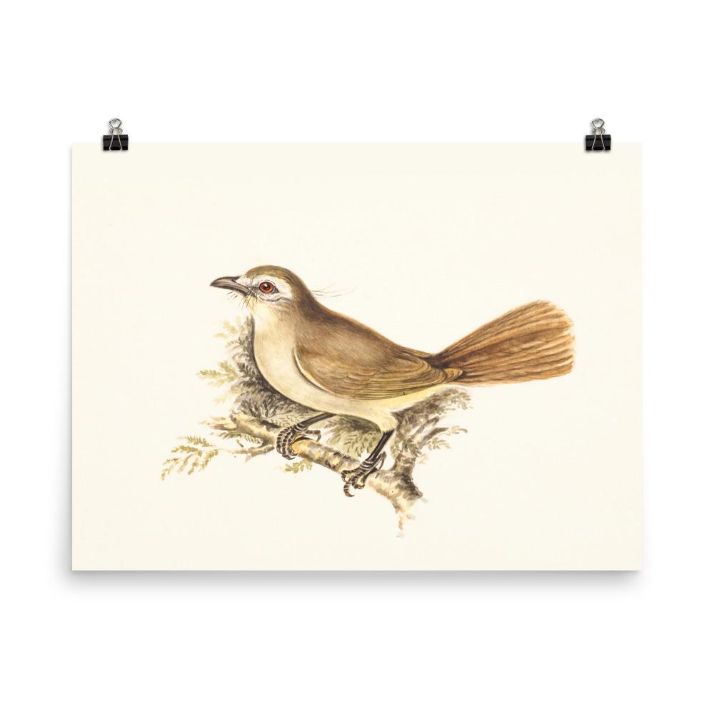 Lerche - Poster 30x41 cm artlia