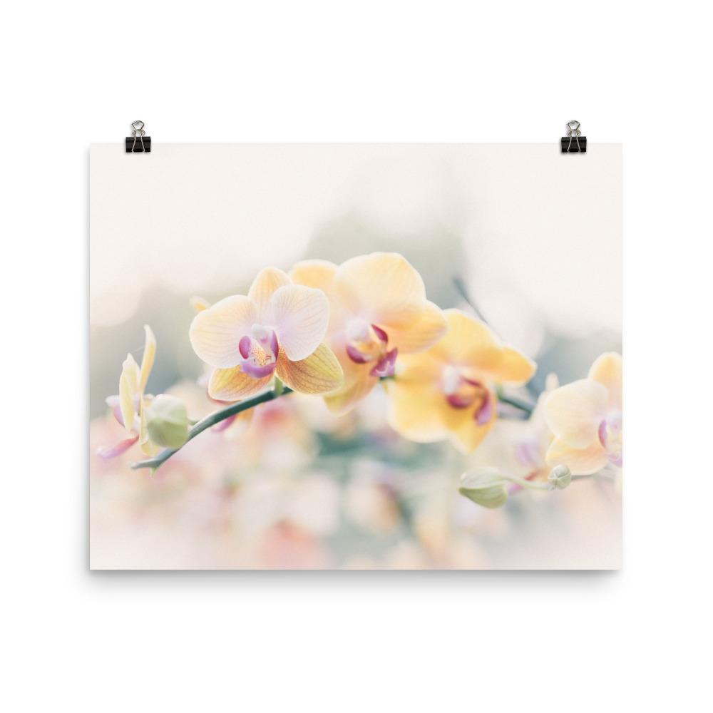 Orchidee 01 - Poster 20x25 cm artlia