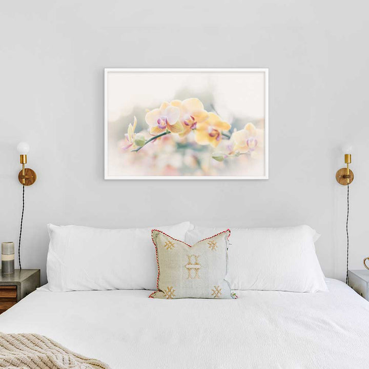 Orchidee 01 - Poster artlia
