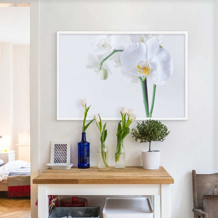 Orchidee 03 - Poster artlia