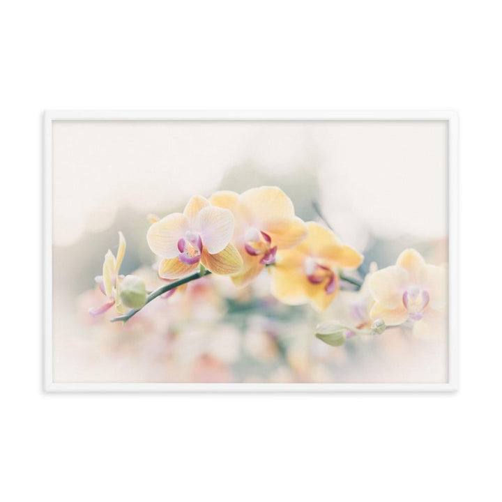 Orchidee 01 - Poster artlia