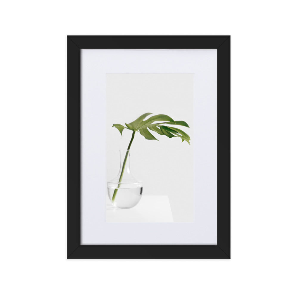 Palm in Vase - Poster im Rahmen mit Passepartout Schwarz / 21×30 cm artlia