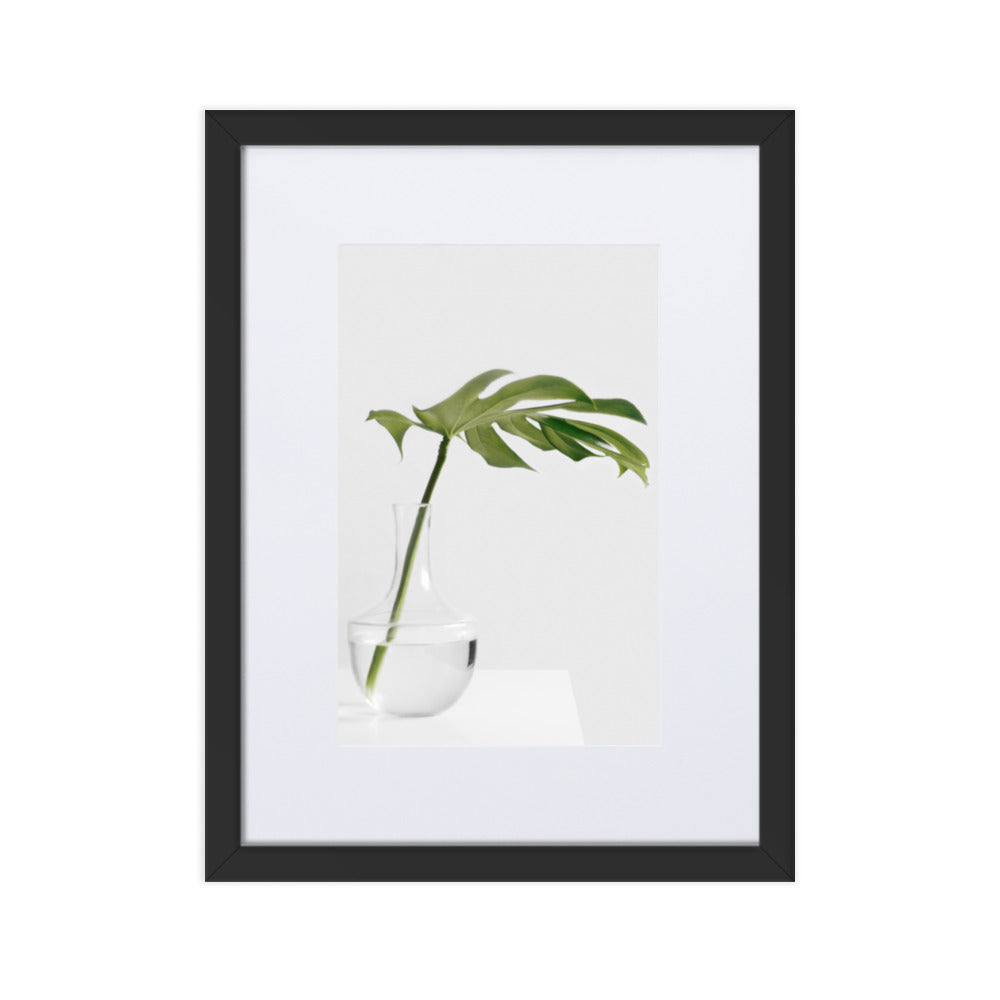 Palm in Vase - Poster im Rahmen mit Passepartout Schwarz / 30×40 cm artlia