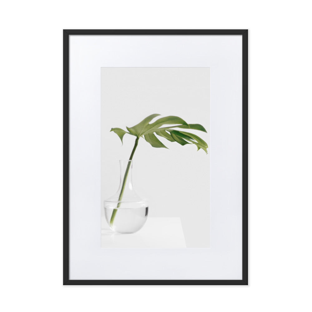Palm in Vase - Poster im Rahmen mit Passepartout Schwarz / 50×70 cm artlia
