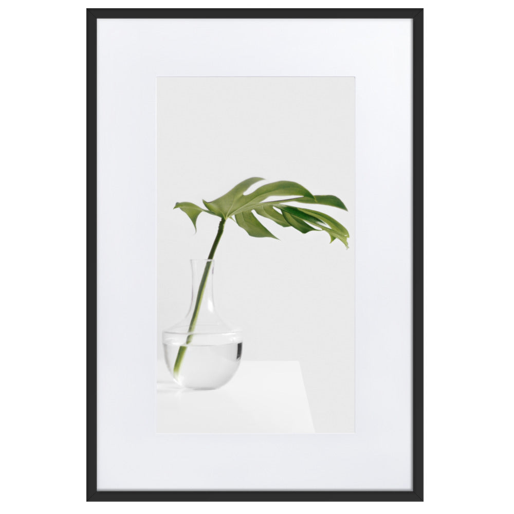 Palm in Vase - Poster im Rahmen mit Passepartout Schwarz / 61×91 cm artlia