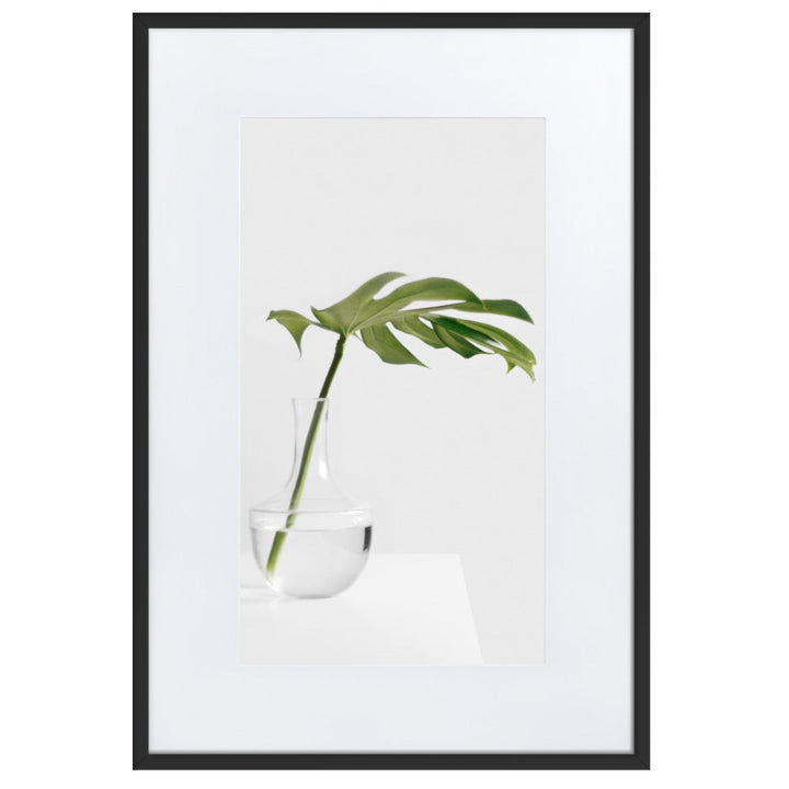 Palm in Vase - Poster im Rahmen mit Passepartout Schwarz / 61×91 cm artlia