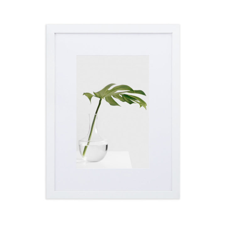 Palm in Vase - Poster im Rahmen mit Passepartout Weiß / 30×40 cm artlia