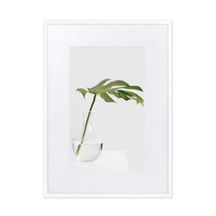 Palm in Vase - Poster im Rahmen mit Passepartout Weiß / 50×70 cm artlia