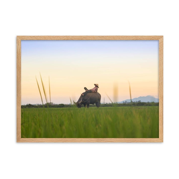 Peaceful Evening - Poster im Rahmen Oak / 50×70 cm artlia