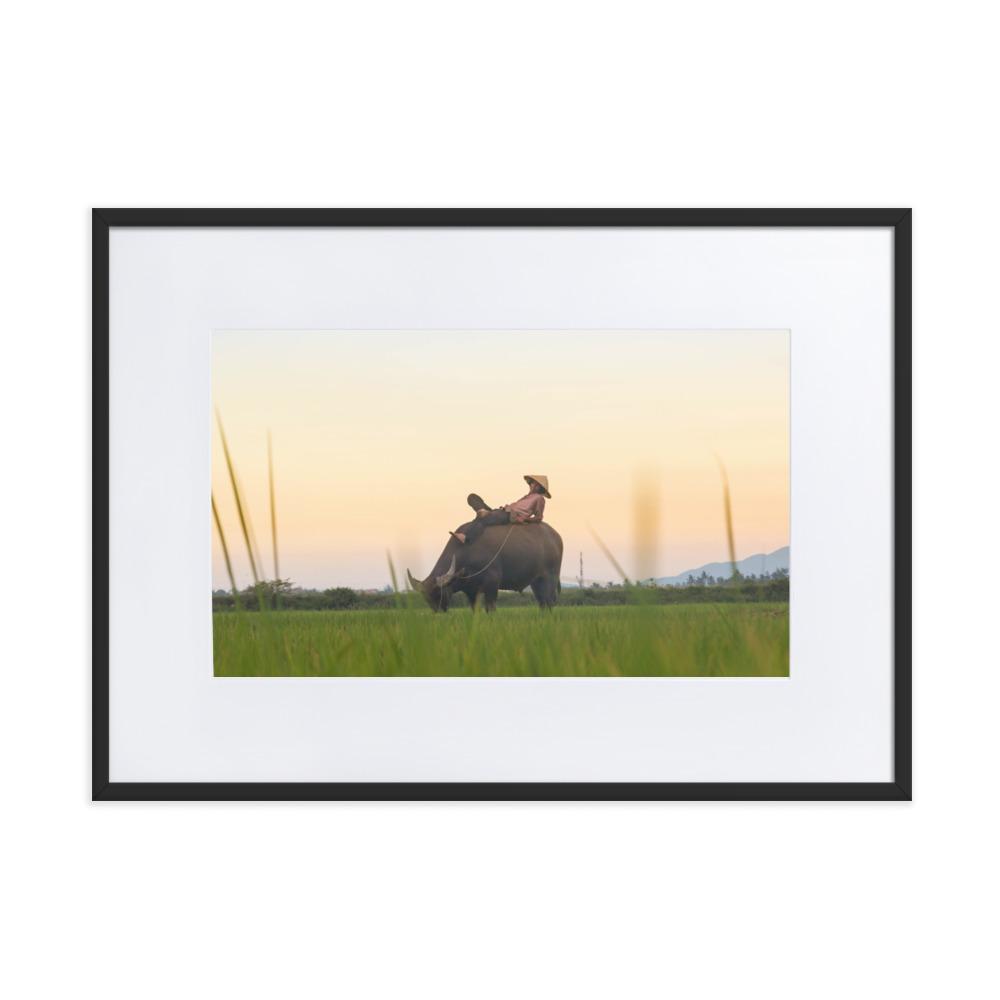 Peaceful Evening - Poster im Rahmen mit Passepartout Schwarz / 50×70 cm artlia