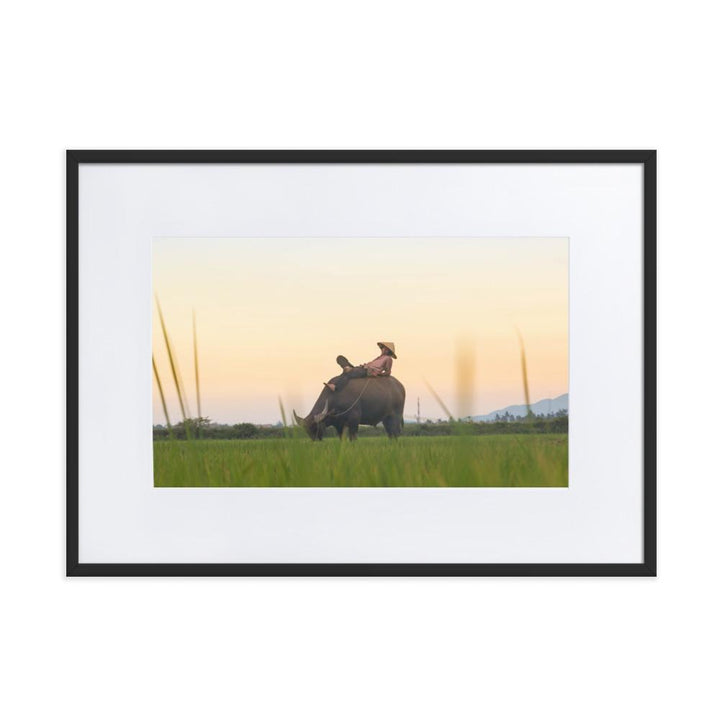 Peaceful Evening - Poster im Rahmen mit Passepartout Schwarz / 50×70 cm artlia