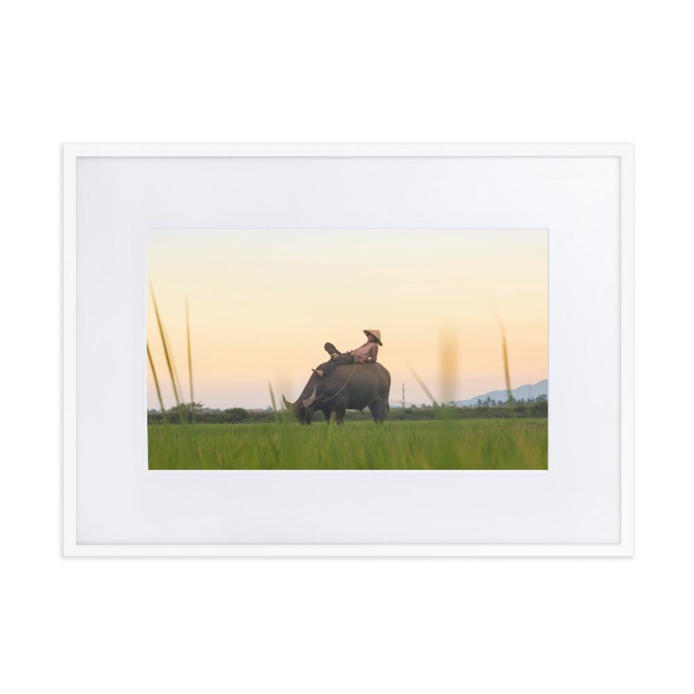 Peaceful Evening - Poster im Rahmen mit Passepartout Weiß / 50×70 cm artlia