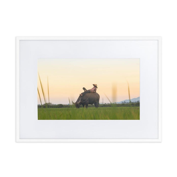 Peaceful Evening - Poster im Rahmen mit Passepartout Weiß / 50×70 cm artlia