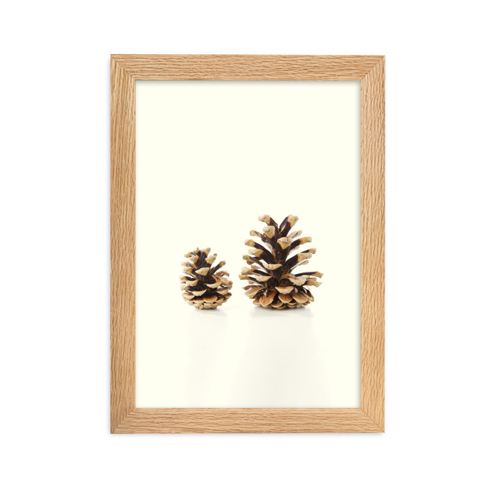 Pine Cone - Poster im Rahmen Oak / 21×30 cm artlia