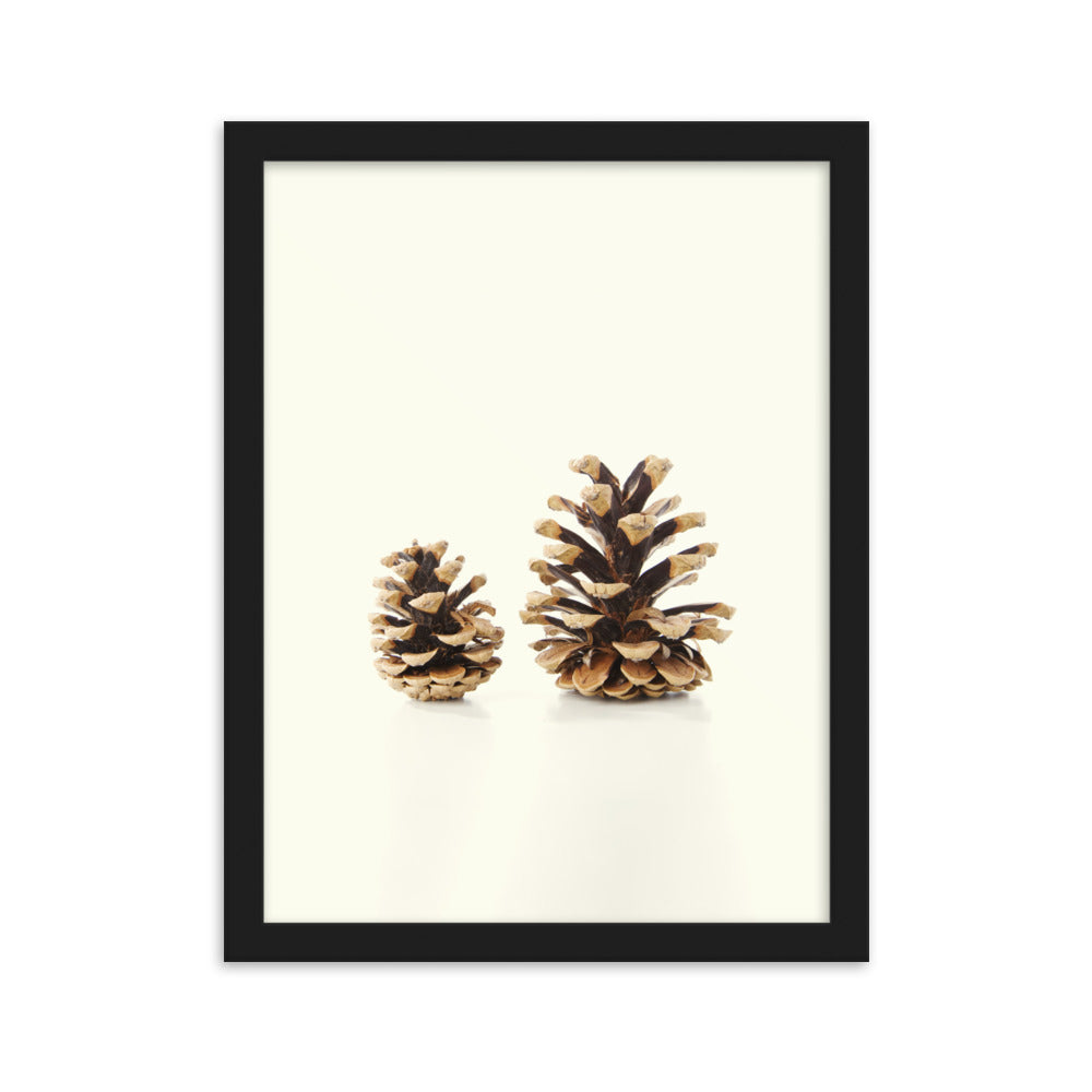 Pine Cone - Poster im Rahmen Schwarz / 30×40 cm artlia