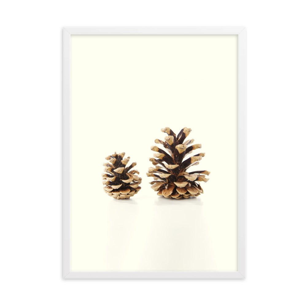 Pine Cone - Poster im Rahmen Weiß / 50×70 cm artlia