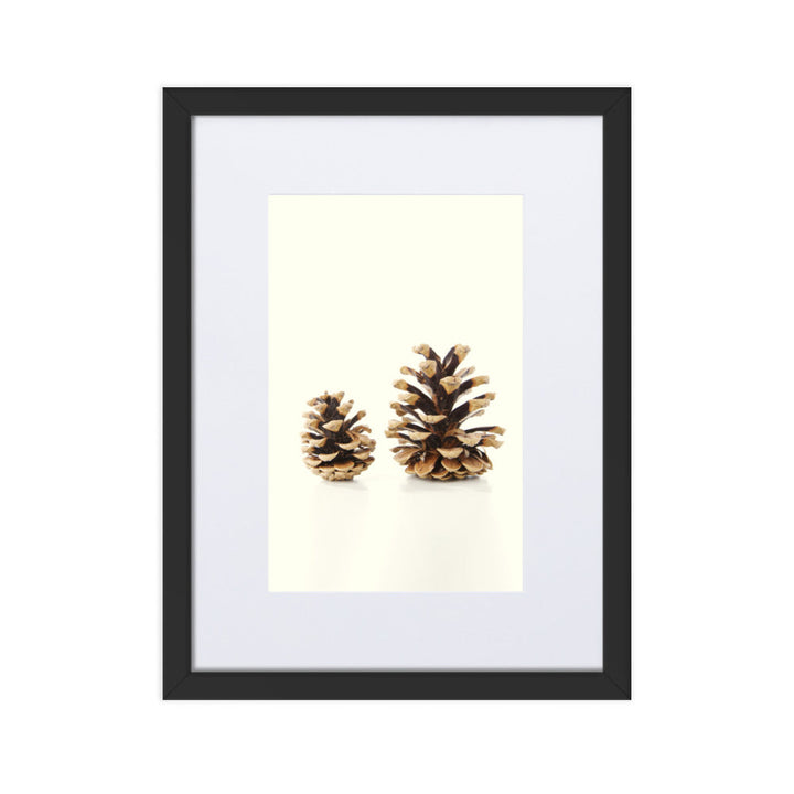 Pine Cone - Poster im Rahmen mit Passepartout Schwarz / 30×40 cm artlia
