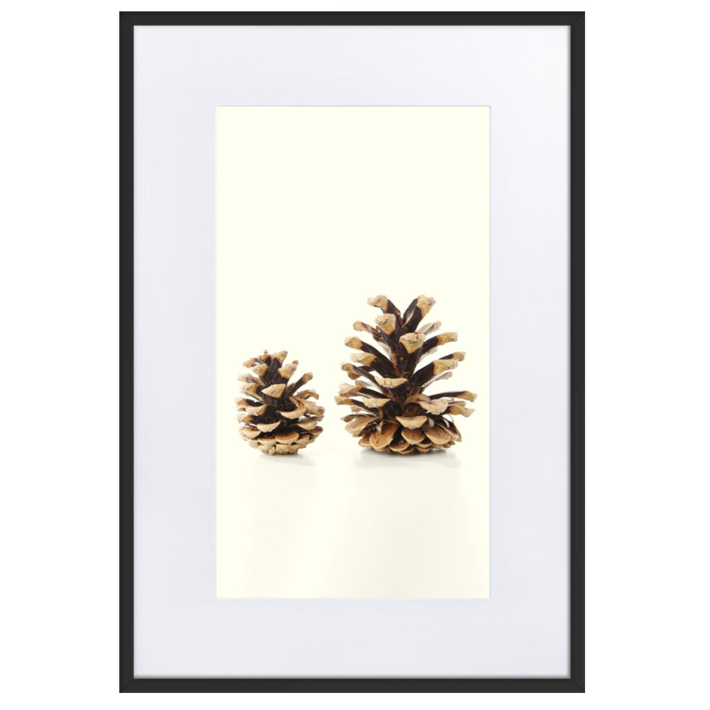 Pine Cone - Poster im Rahmen mit Passepartout Schwarz / 61×91 cm artlia