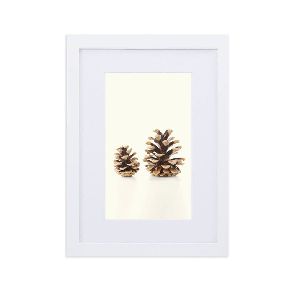 Pine Cone - Poster im Rahmen mit Passepartout Weiß / 21×30 cm artlia