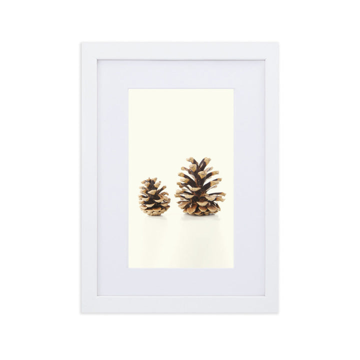 Pine Cone - Poster im Rahmen mit Passepartout Weiß / 21×30 cm artlia