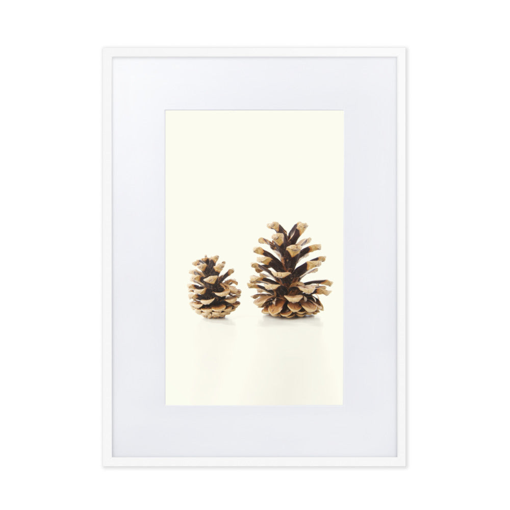 Pine Cone - Poster im Rahmen mit Passepartout Weiß / 50×70 cm artlia