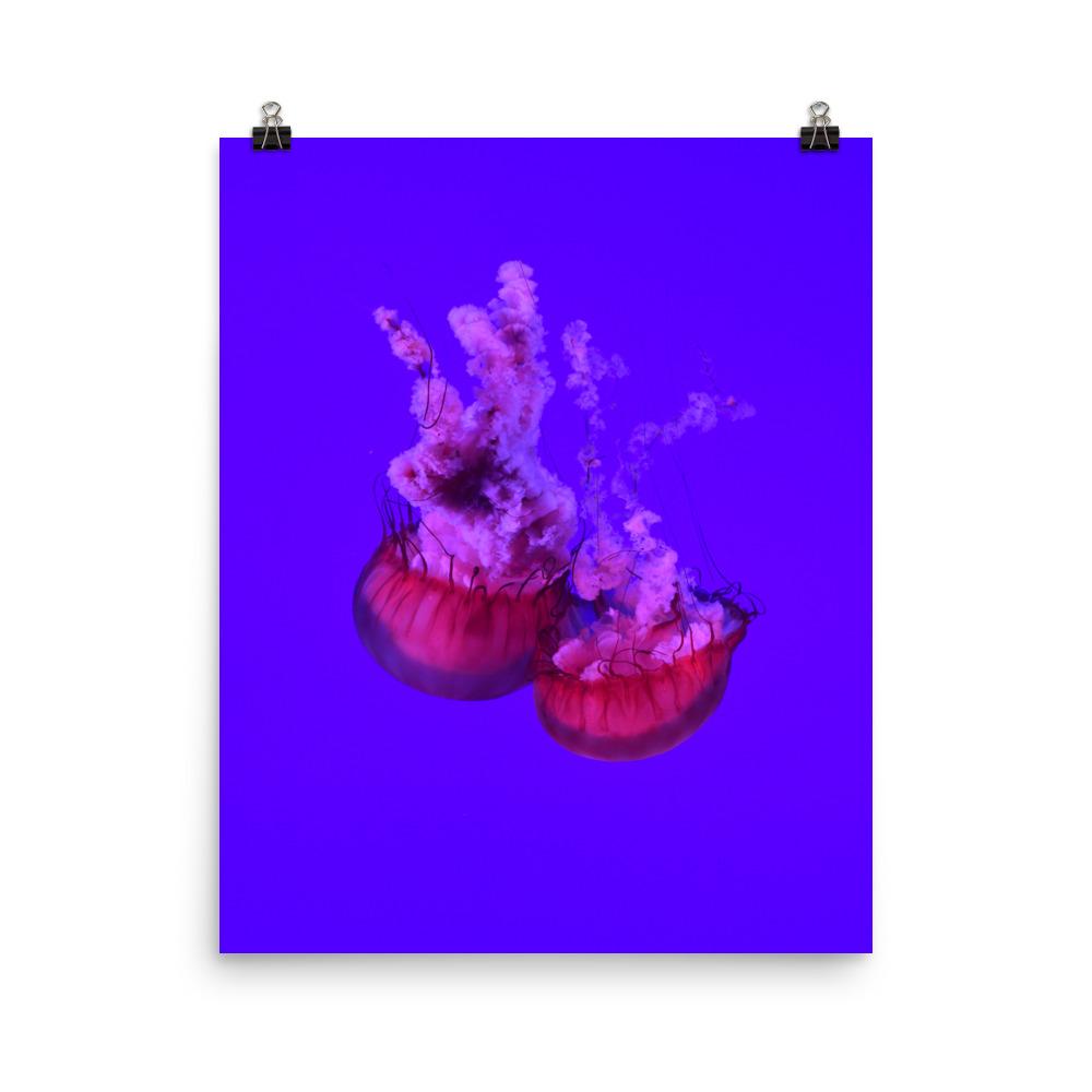 Pinke Qualle - Poster 20x25 cm artlia