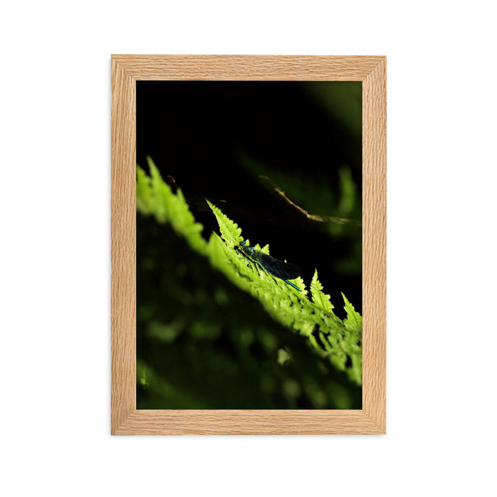 Poster mit Rahmen - Grüne Libelle Oak / 21×30 cm artlia